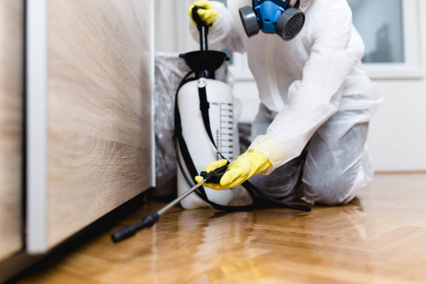 Best Ant Control Services  in Sanborn, IA