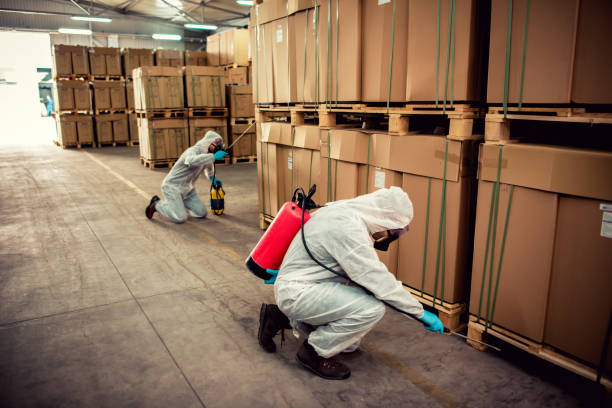 Best Cockroach Control Services  in Sanborn, IA