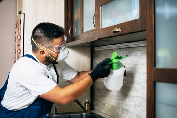 Best Bed Bug Extermination  in Sanborn, IA
