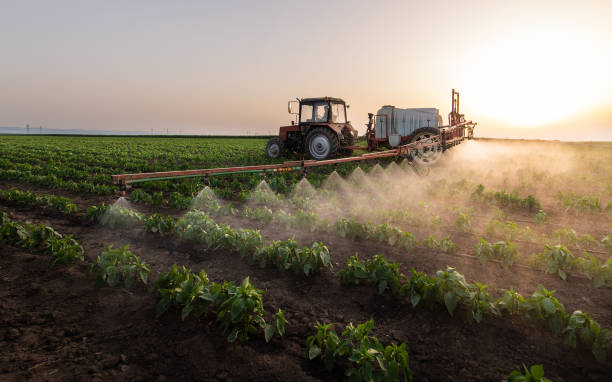 Insect Control in Sanborn, IA