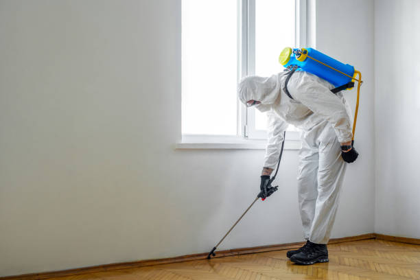 Best Commercial Pest Control Services  in Sanborn, IA