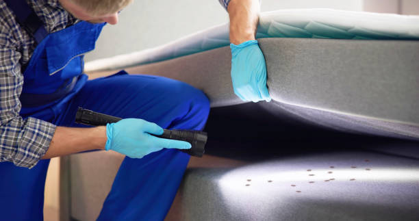 Best Affordable Pest Control Services  in Sanborn, IA