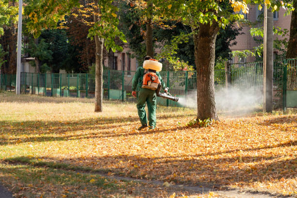 Trusted Sanborn, IA Pest Control Experts