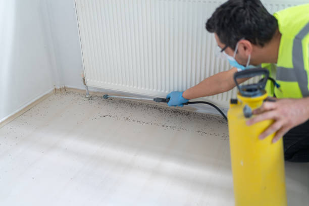 Best Pest Removal Services  in Sanborn, IA