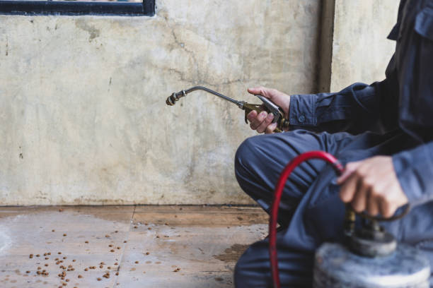 Best Local Pest Control Services  in Sanborn, IA