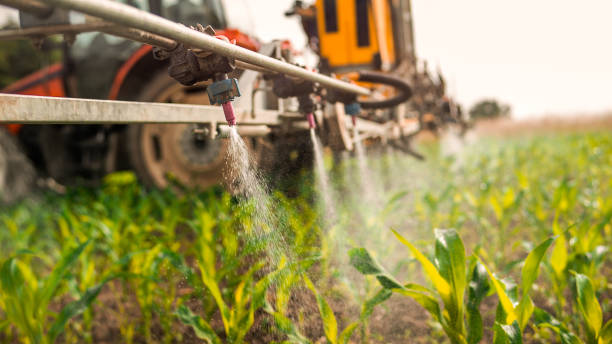 Best Mosquito Control Services  in Sanborn, IA