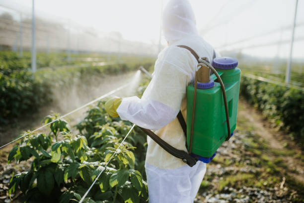  Sanborn, IA Pest Control Pros